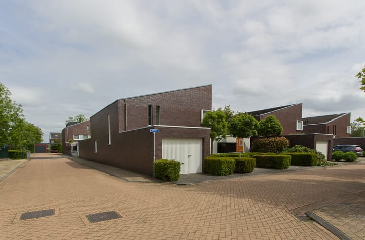Foto 3 van Wulp 14
