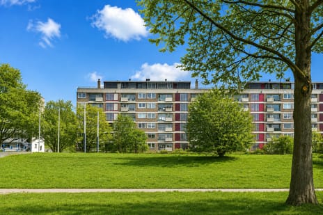Eastonstraat thumbnail