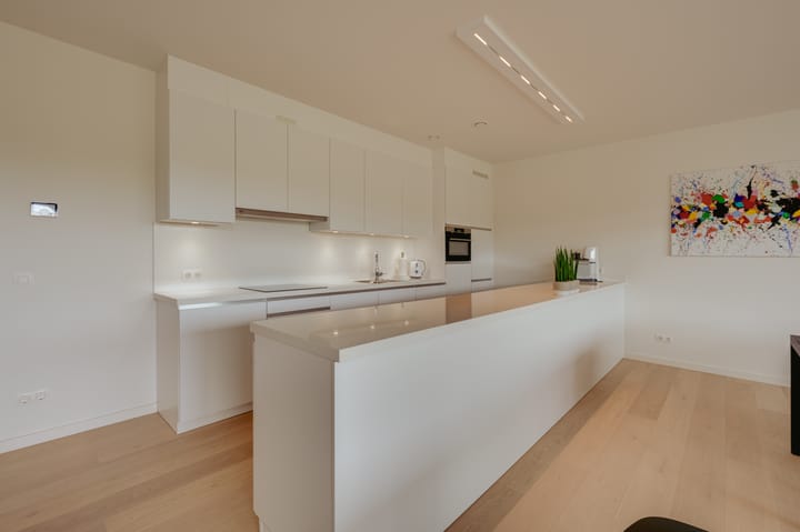 Foto 4 van Boulevard de Wielingen 47-B102
