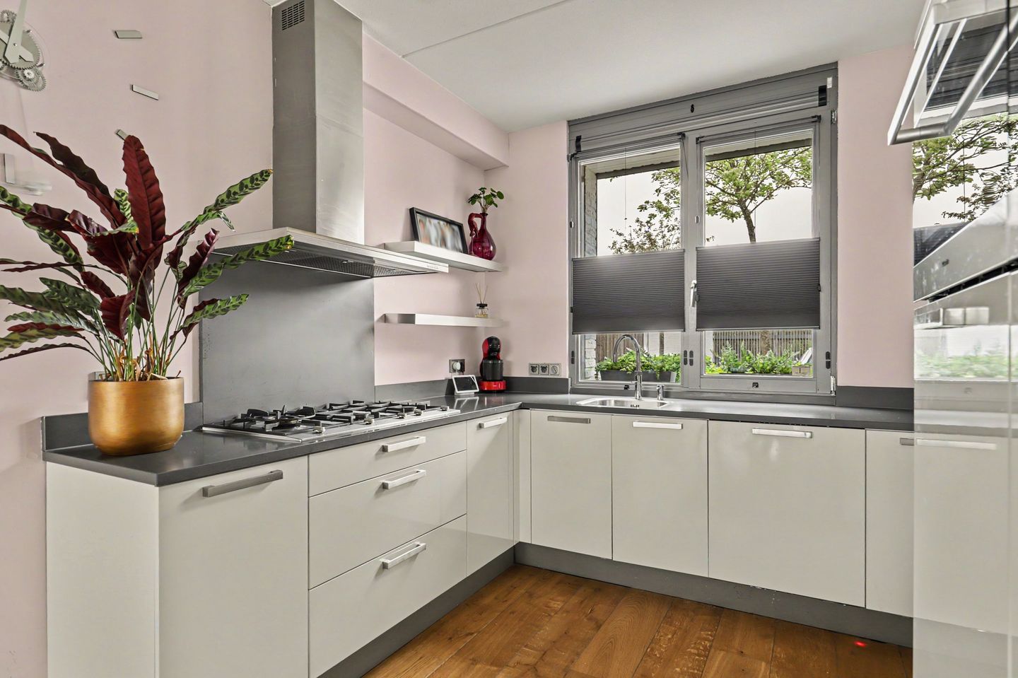 Foto 4 van Sterappel 26