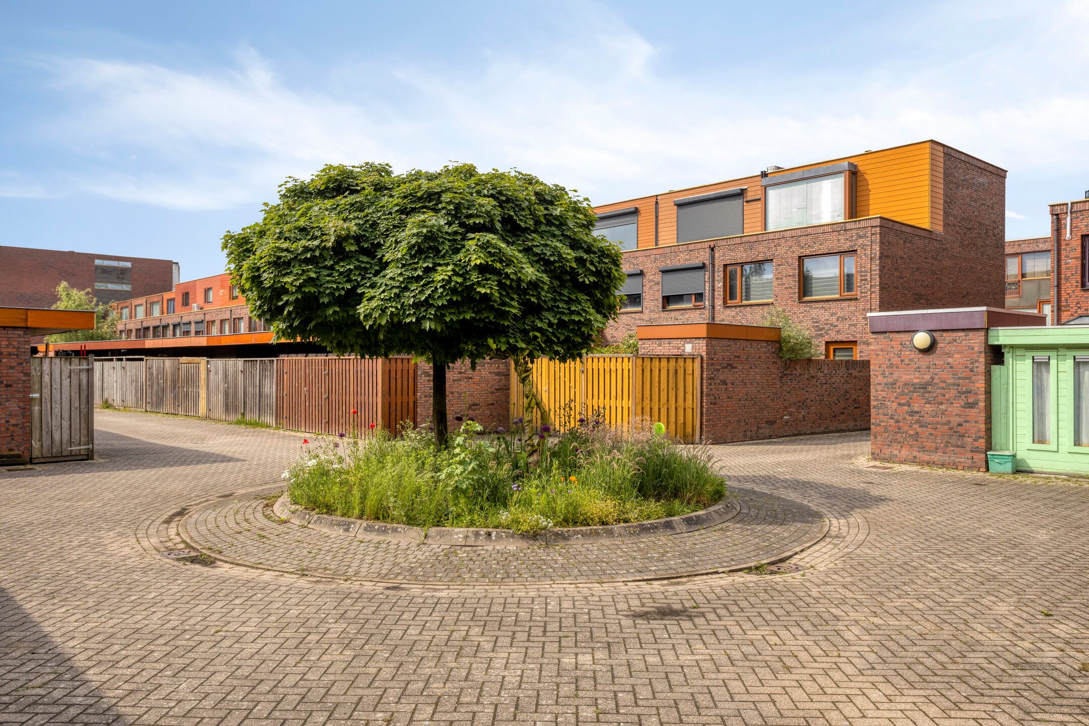 Photo 45 of Grasbloem 109