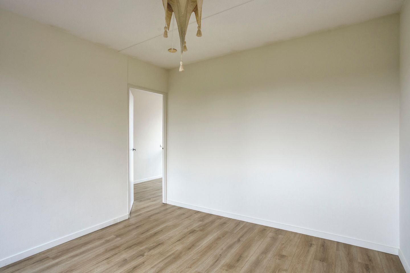 Photo 40 of Grasbloem 109
