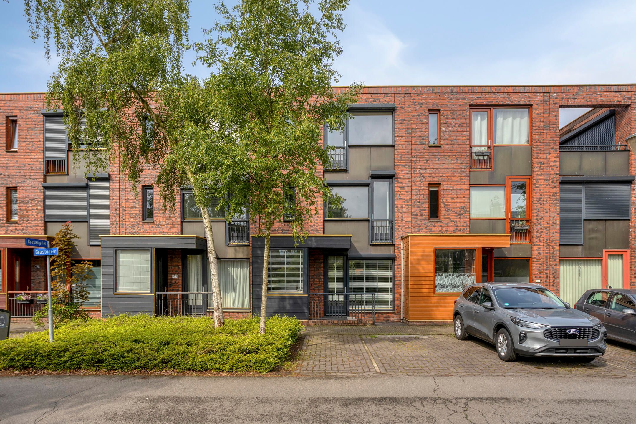 Grasbloem 109 