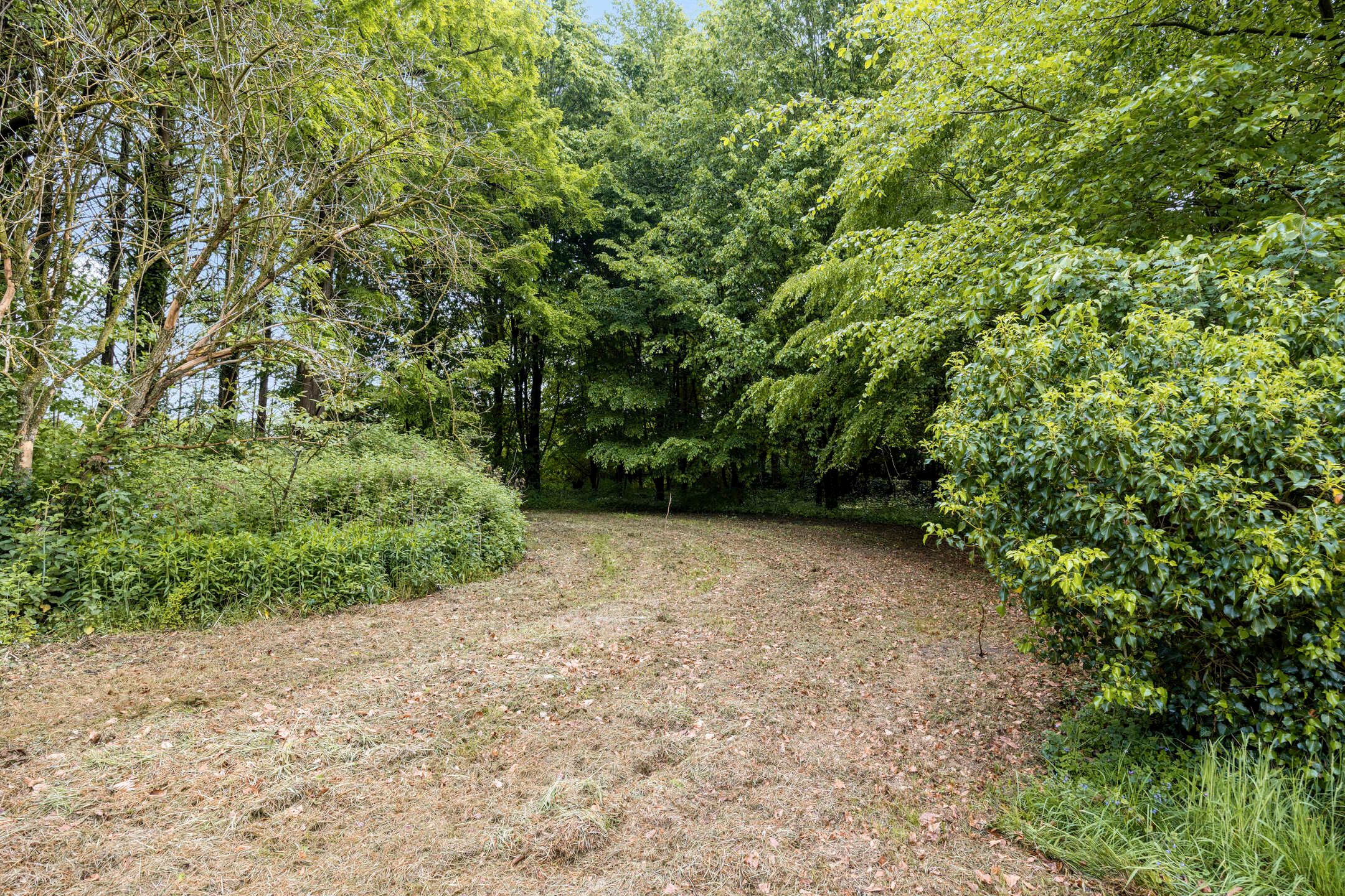 Foto 42 van Kempseweg 15