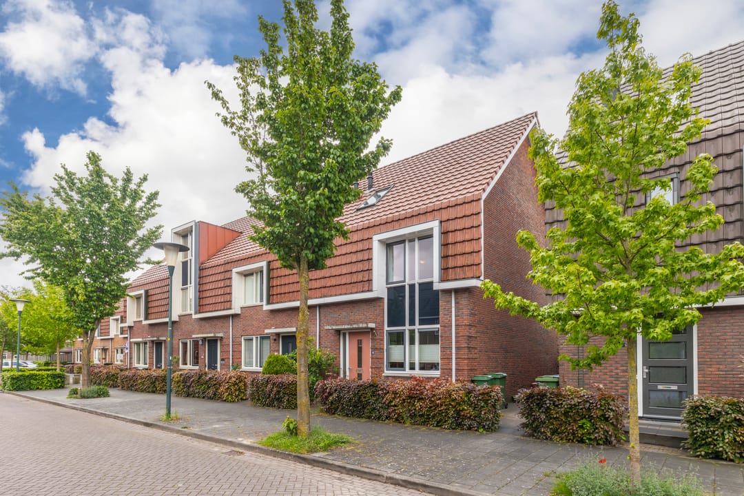 Foto 1 van Pijlkruid 10