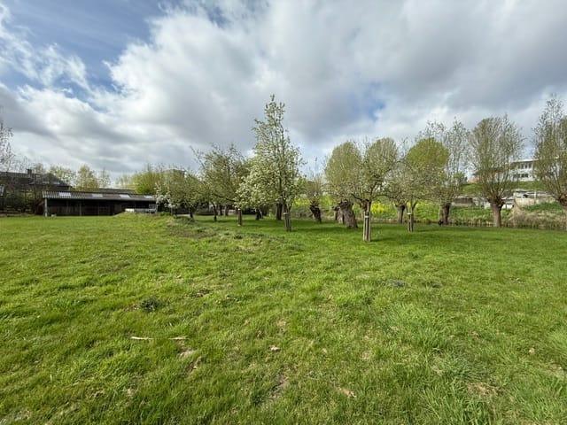 Foto 69 van Schaardijk 482-K001