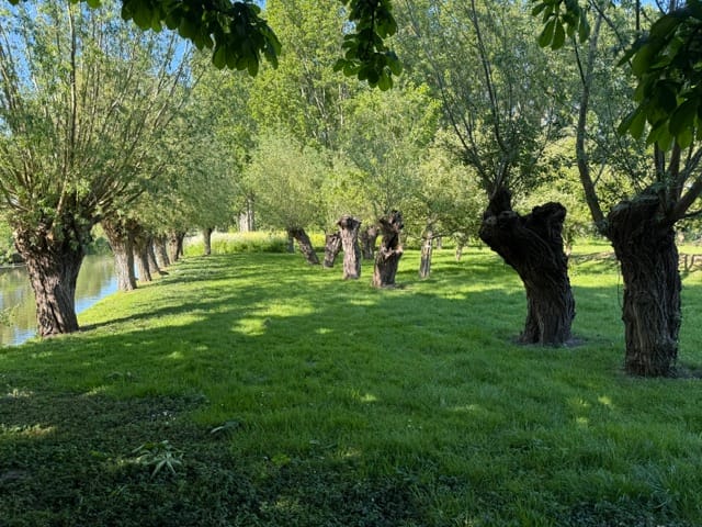 Photo 4 of Schaardijk 482-K001