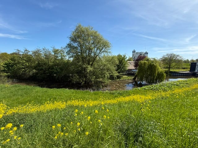 Foto 71 van Schaardijk 482-K001