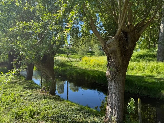 Foto 75 van Schaardijk 482-K001