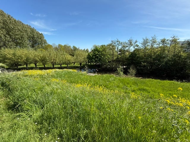 Foto 79 van Schaardijk 482-K001