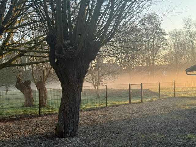 Foto 81 van Schaardijk 482-K001