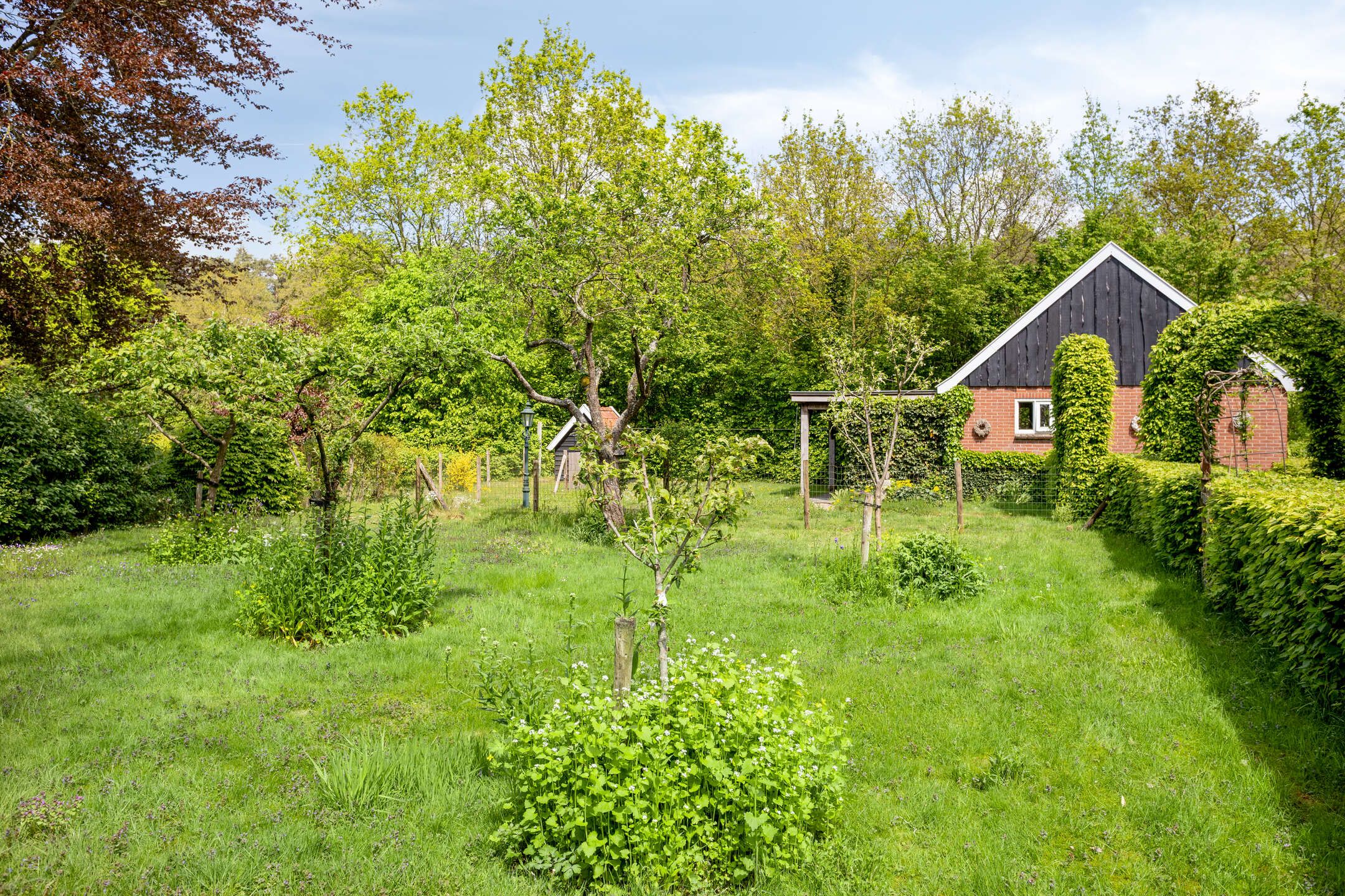 Foto 45 van Lossersedijk 3