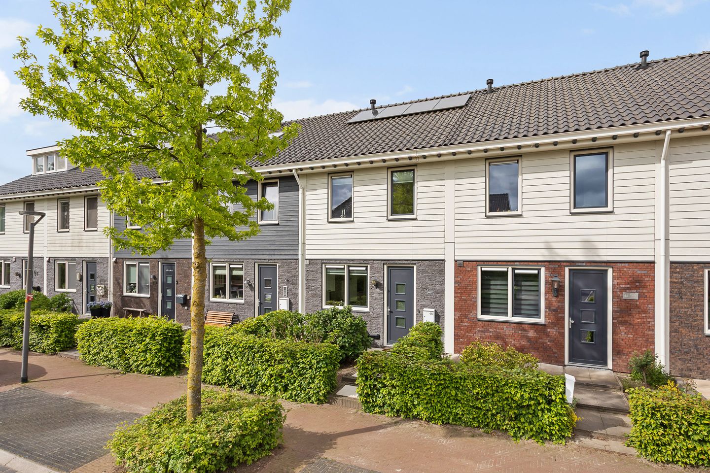 Foto 5 van Bruggemaat 46