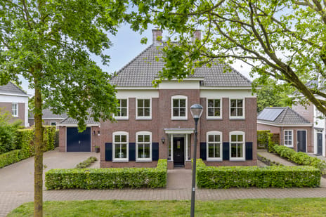 Schutsboom thumbnail