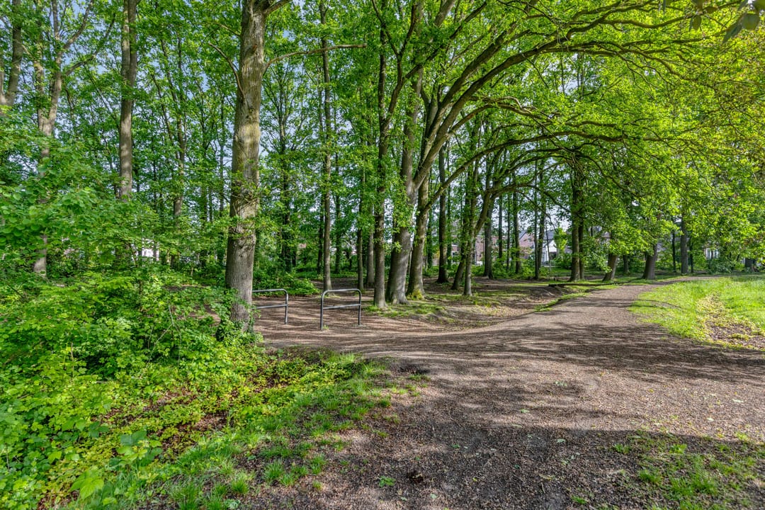 Photo 88 of Schutsboom 71-A