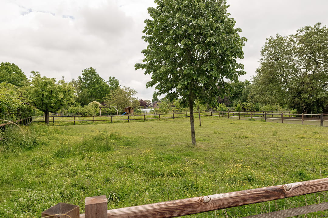 Foto 46 van Dwarsstraat 13