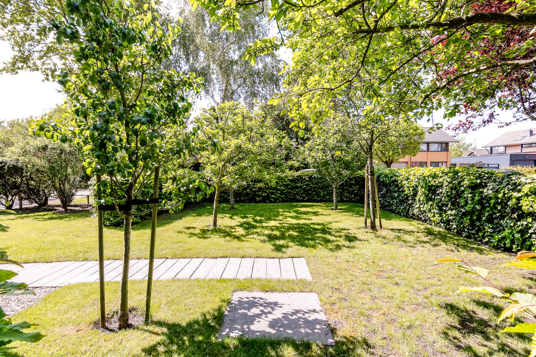 Photo 43 of Hollandse Hout 262