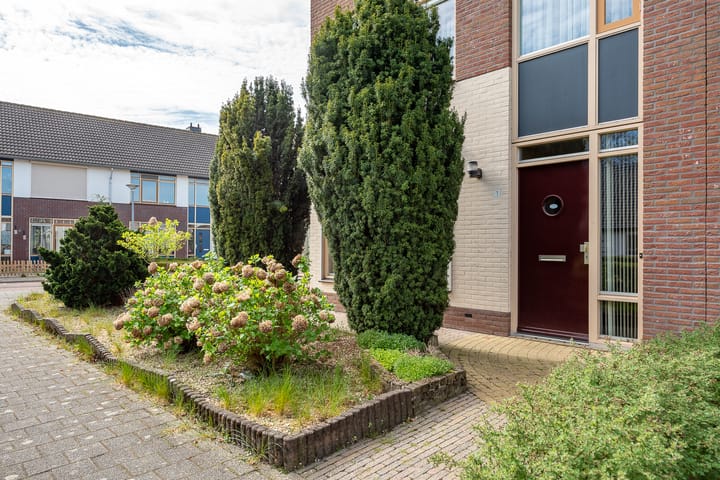 Foto 2 van de Bongerd 1