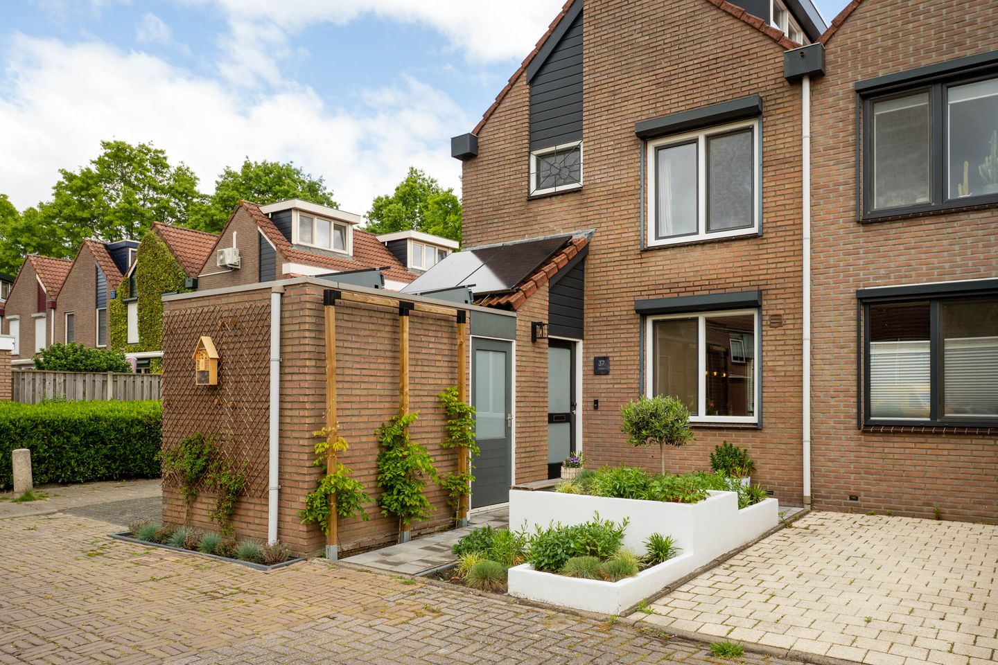 Foto 40 van de Acacia 37
