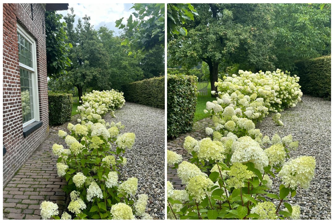 Photo 73 of Hoofdstraat 17