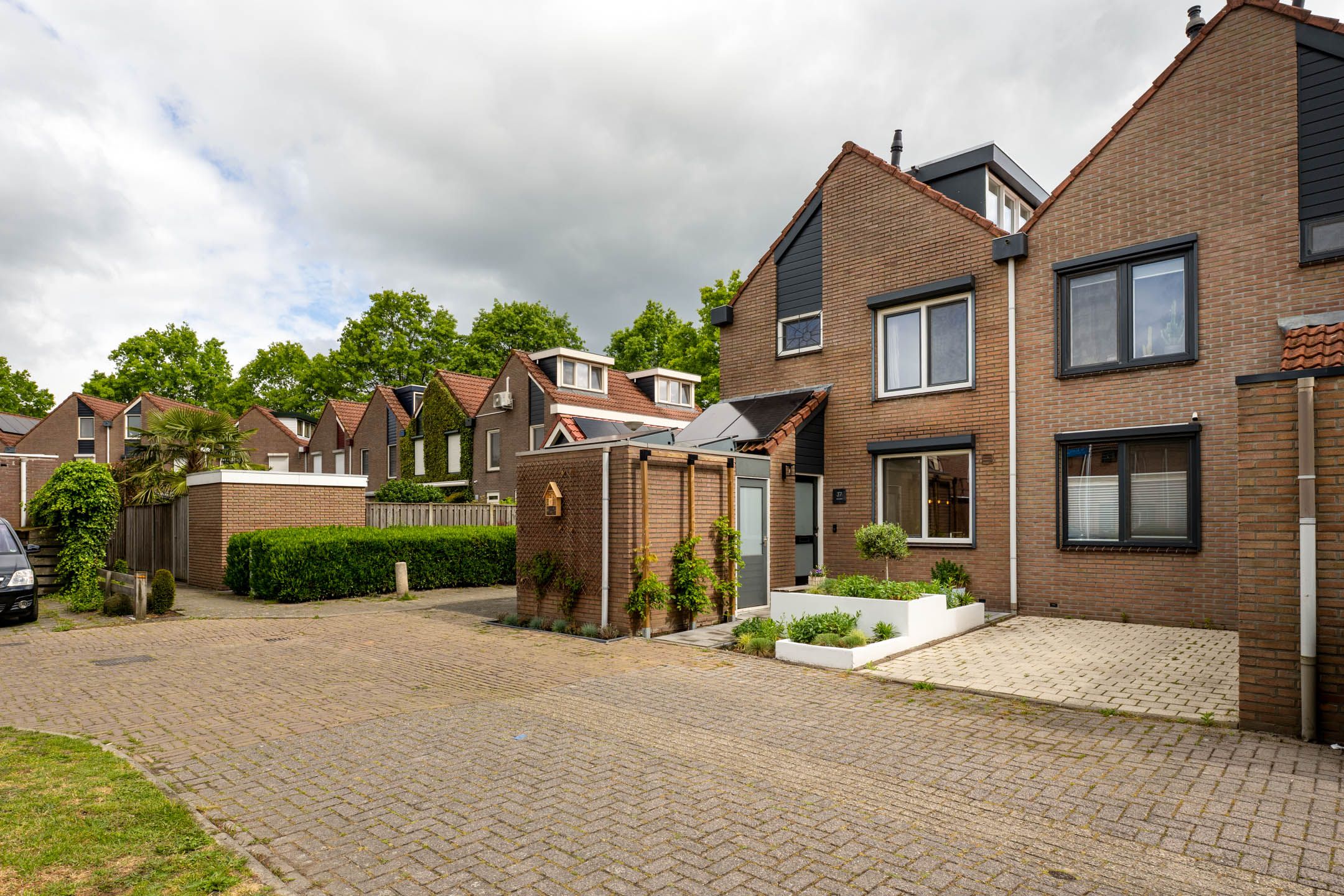 Foto 42 van de Acacia 37