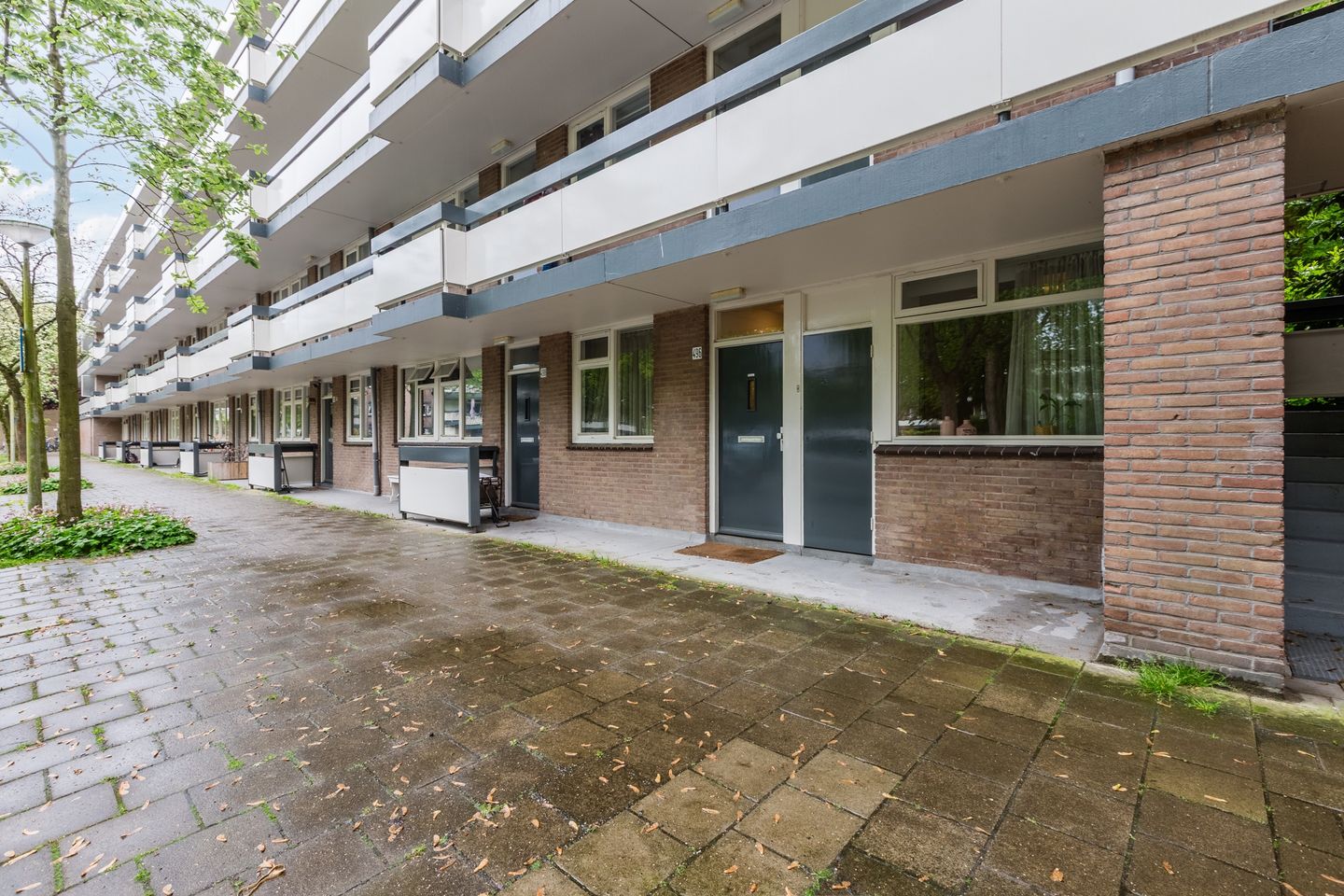 Photo 5 of Bolestein 496