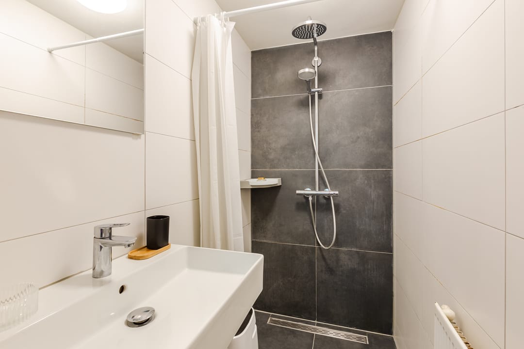 Photo 17 of Bolestein 496