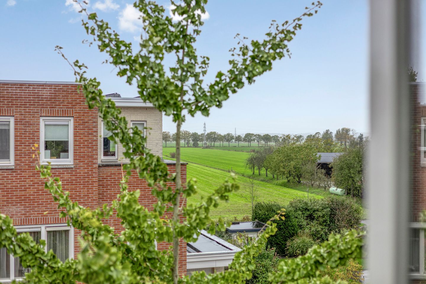 Foto 4 van Pad van Witte Veder 10