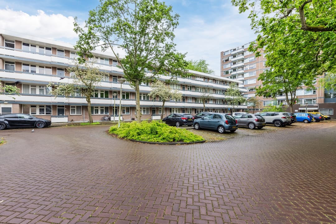 Photo 26 of Bolestein 496
