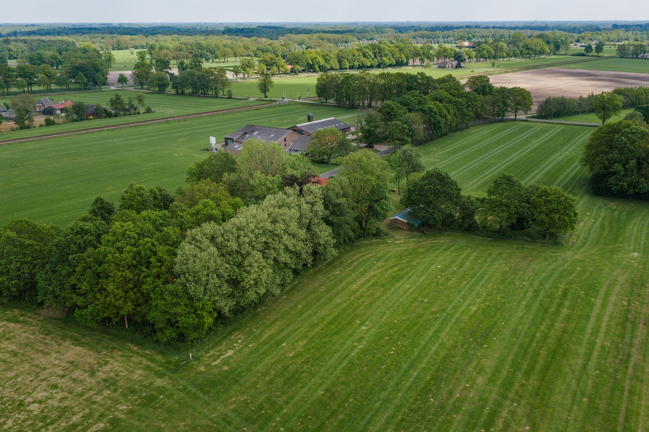 Photo 51 of Slootsdijk 9