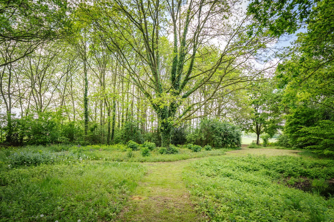 Photo 58 of Slootsdijk 9
