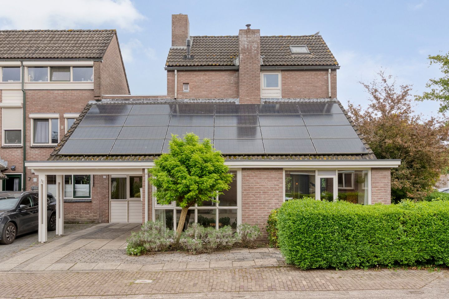 Foto 1 van Rozemarijn 9
