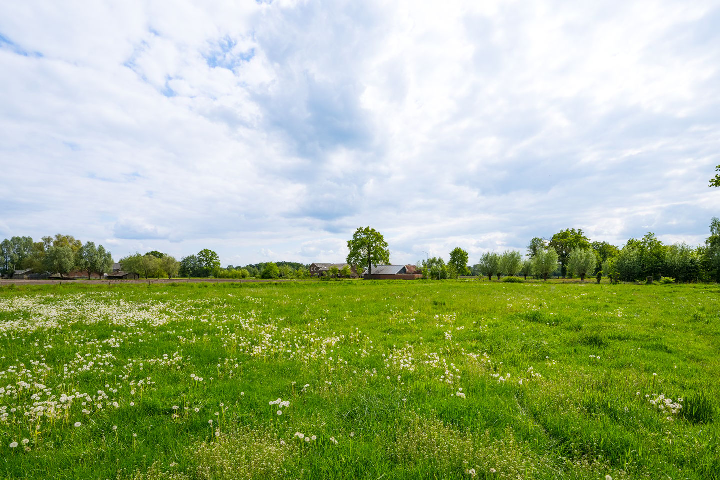 Photo 44 of Hiddinkdijk 31