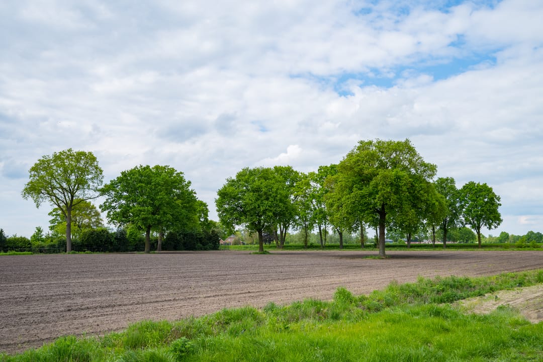 Foto 47 van Hiddinkdijk 31