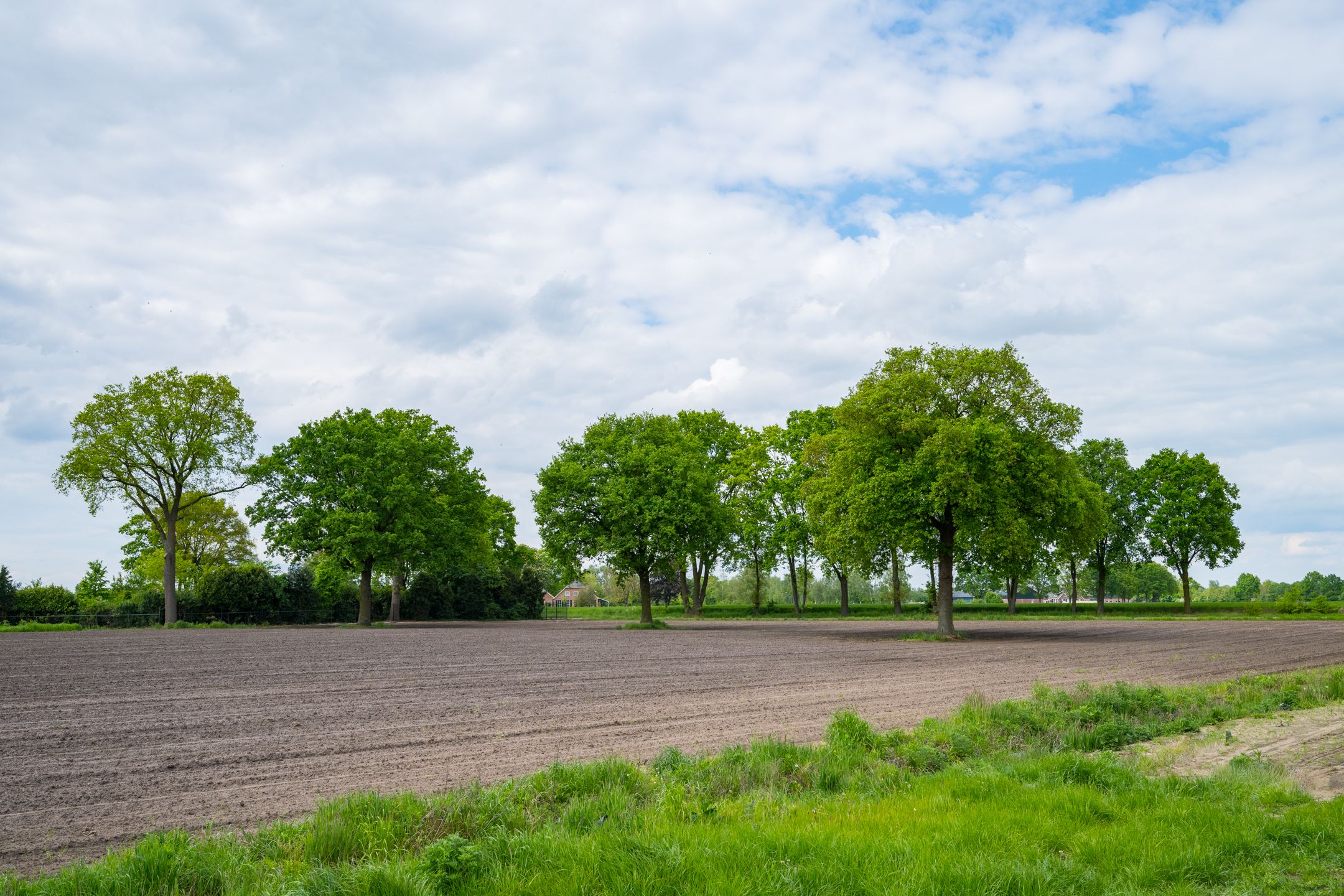 Photo 54 of Hiddinkdijk 31