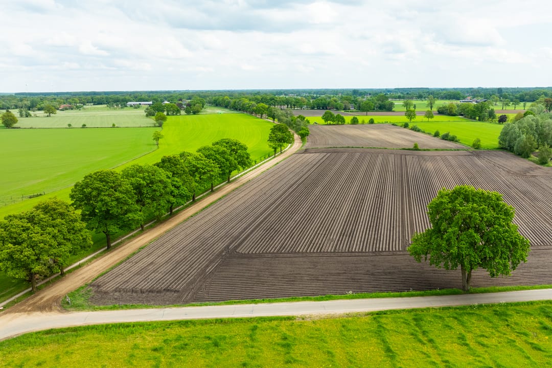 Photo 56 of Hiddinkdijk 31