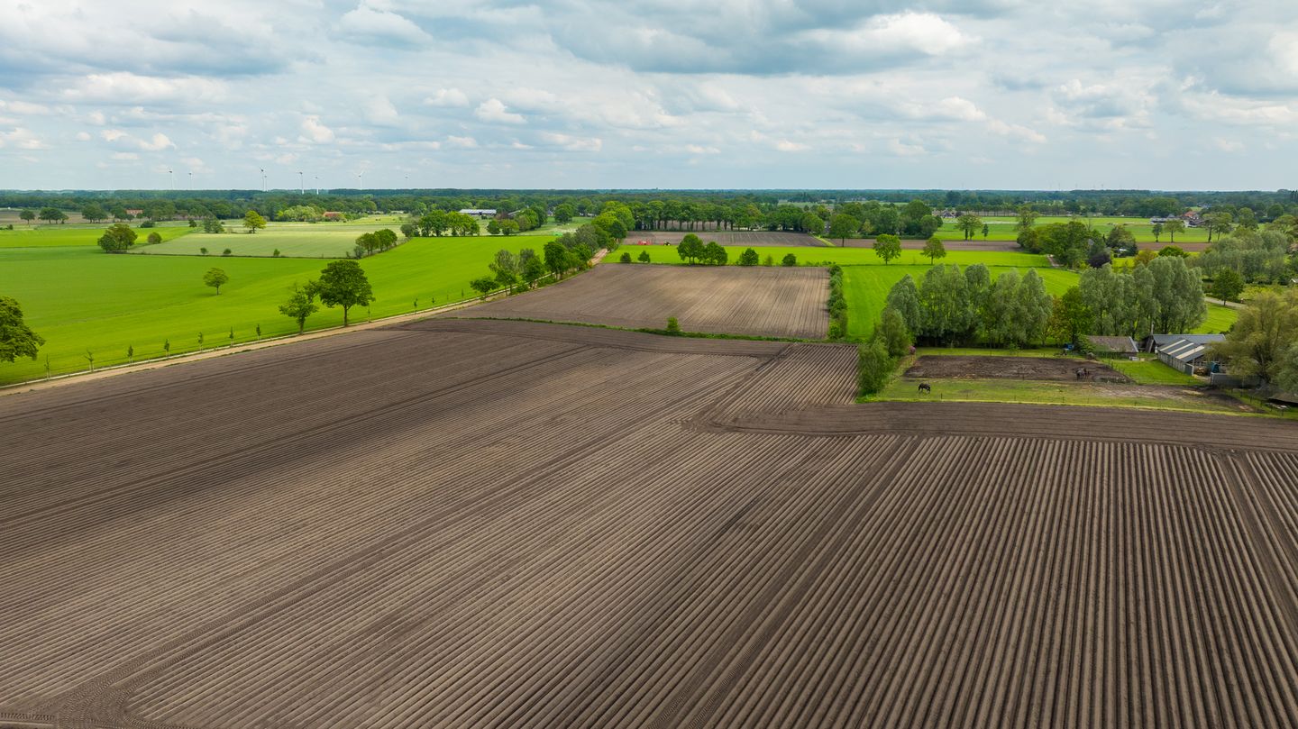 Photo 55 of Hiddinkdijk 31