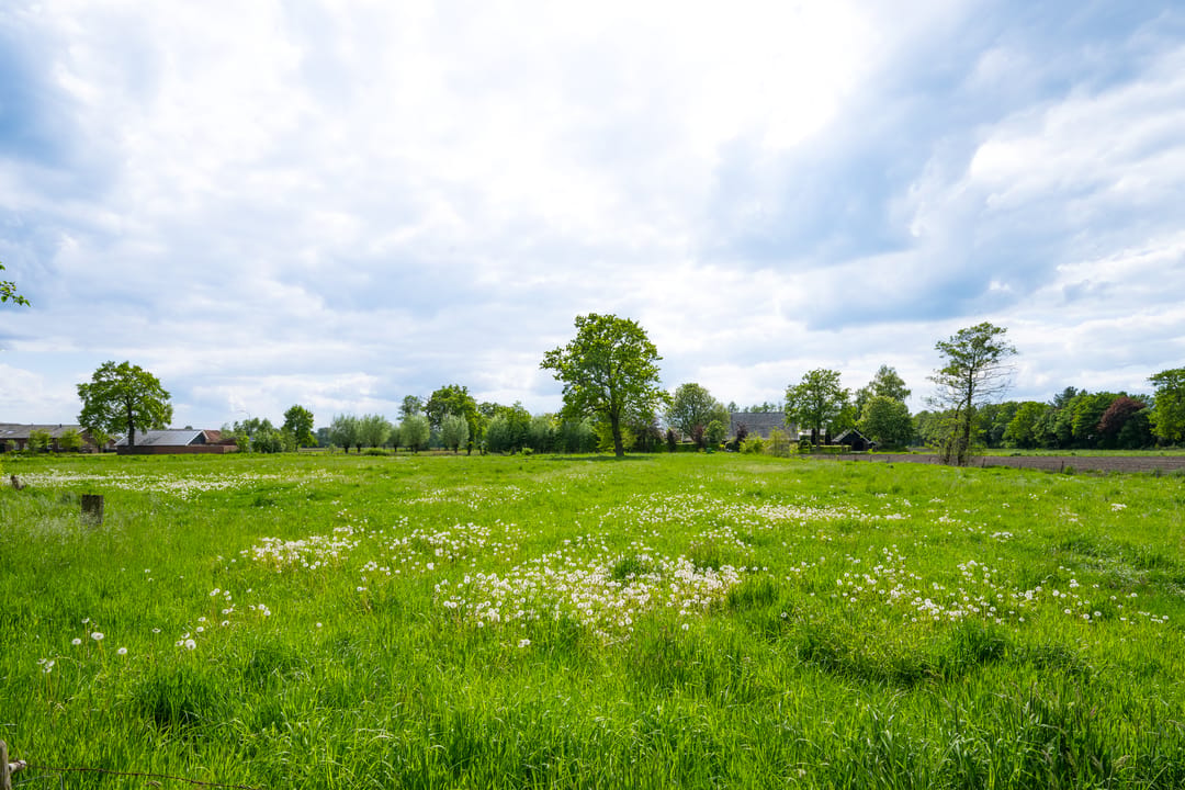 Photo 43 of Hiddinkdijk 31