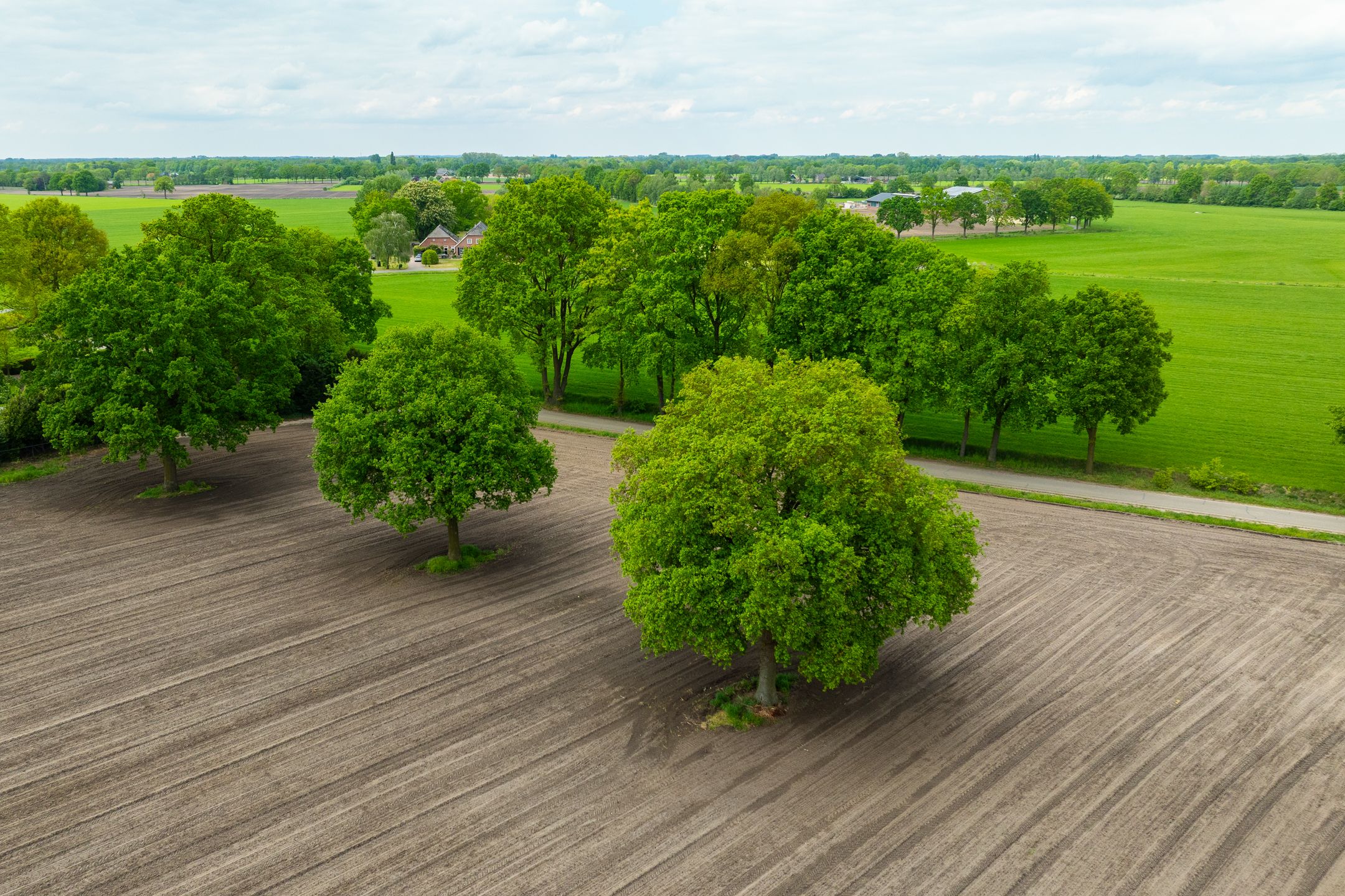 Photo 57 of Hiddinkdijk 31