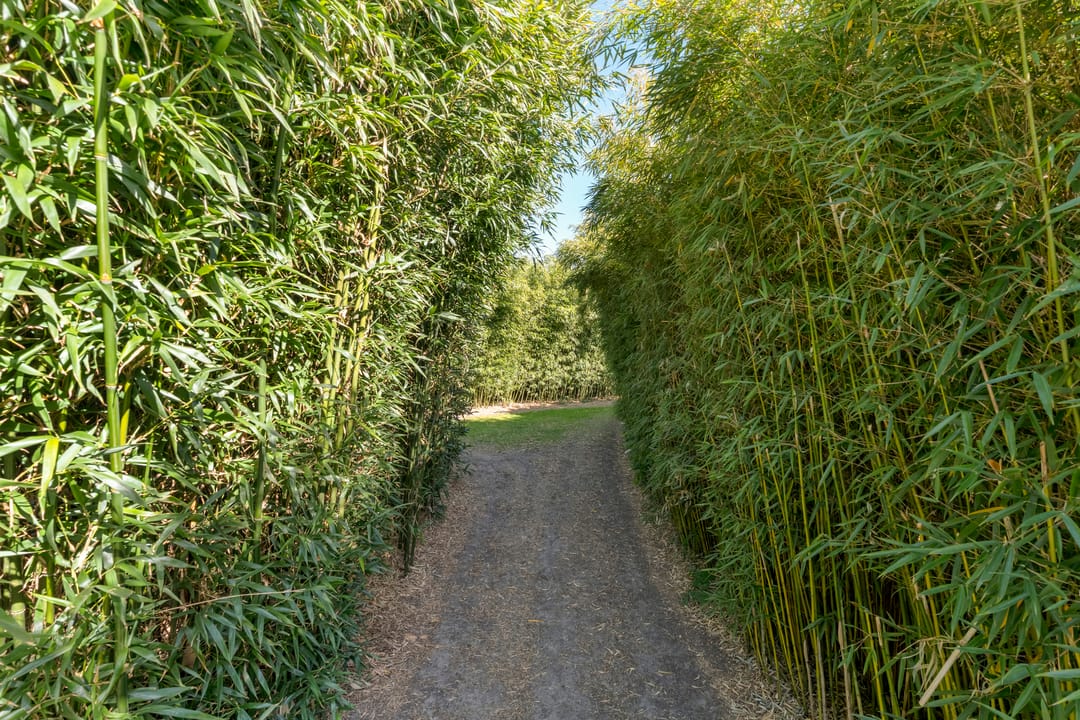 Foto 101 van Hoofdweg 107