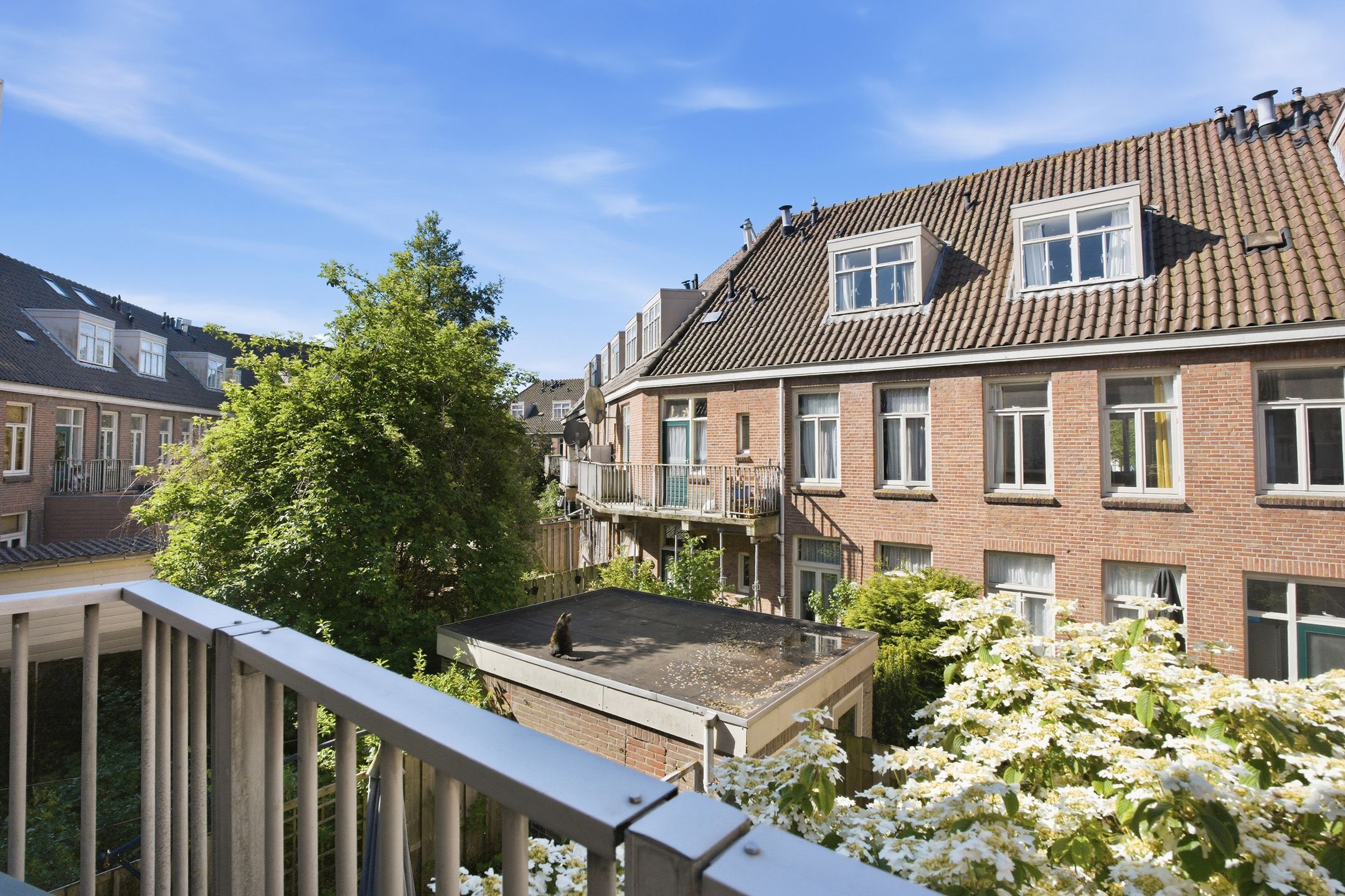 Photo 18 of Eksterstraat 49
