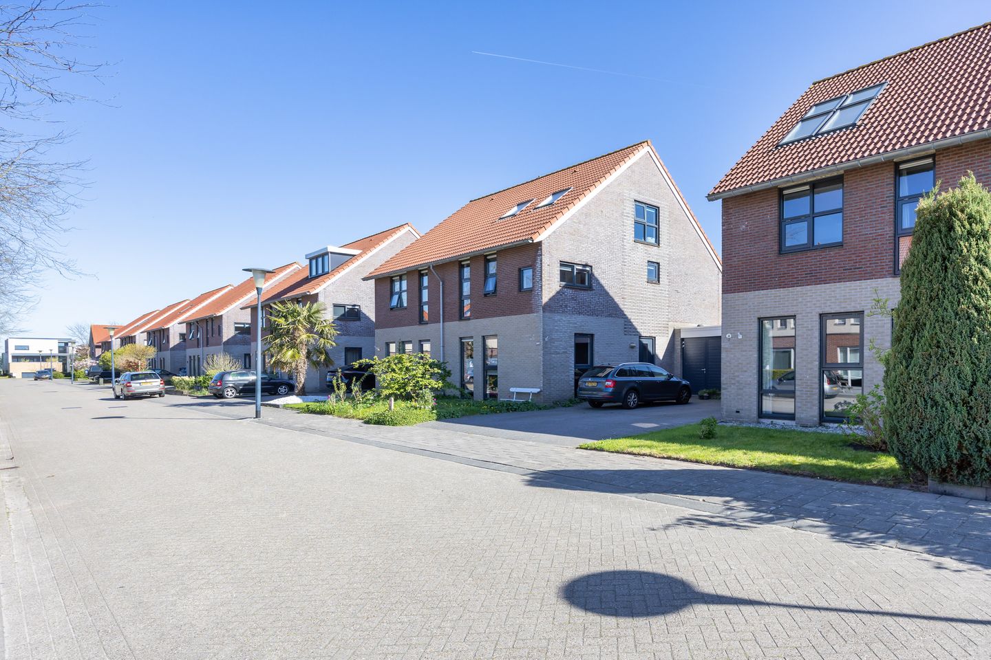 Foto 40 van Frouwesân 50