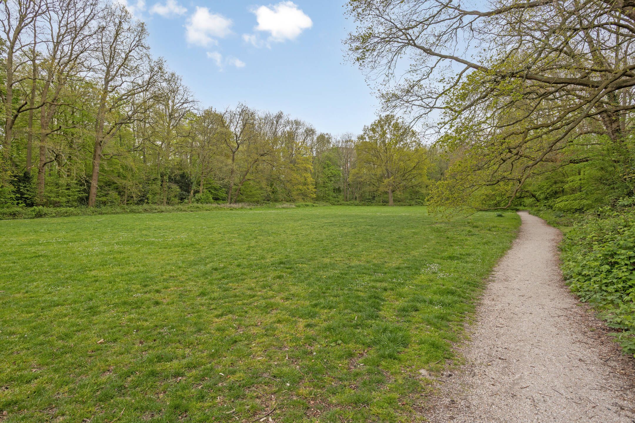 Photo 87 of Rijnsburgerweg 189