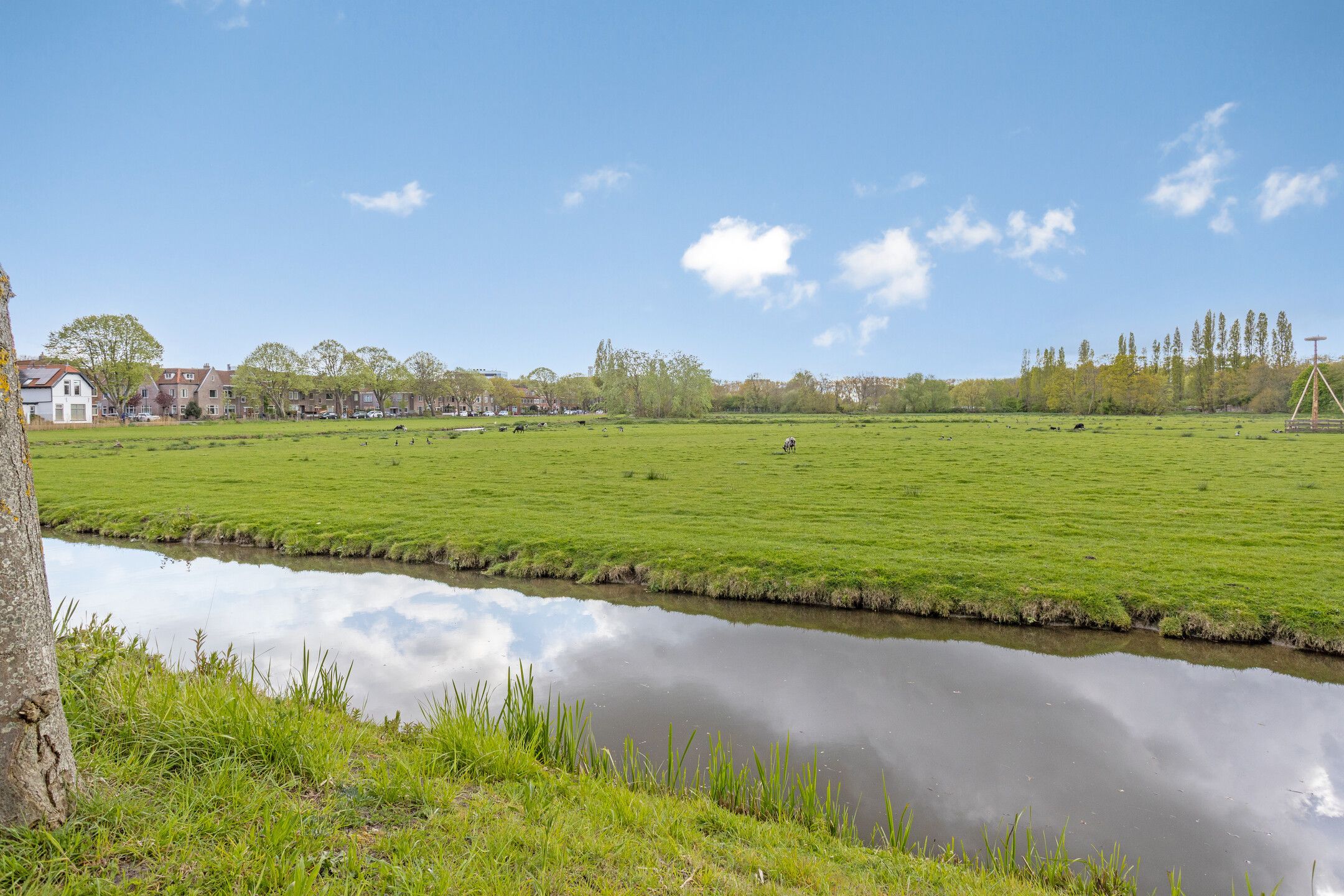 Photo 90 of Rijnsburgerweg 189