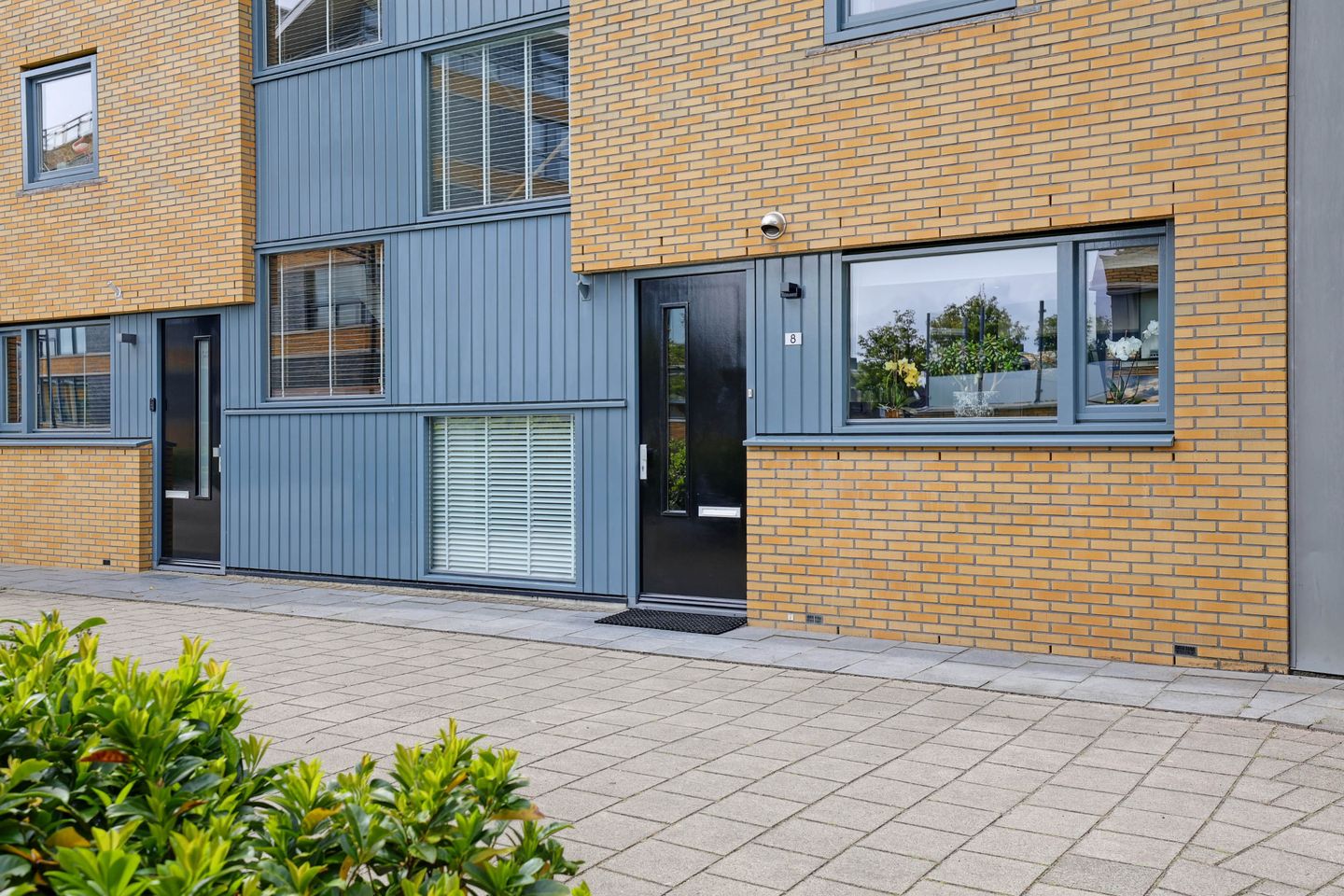 Foto 5 van Duindistel 8