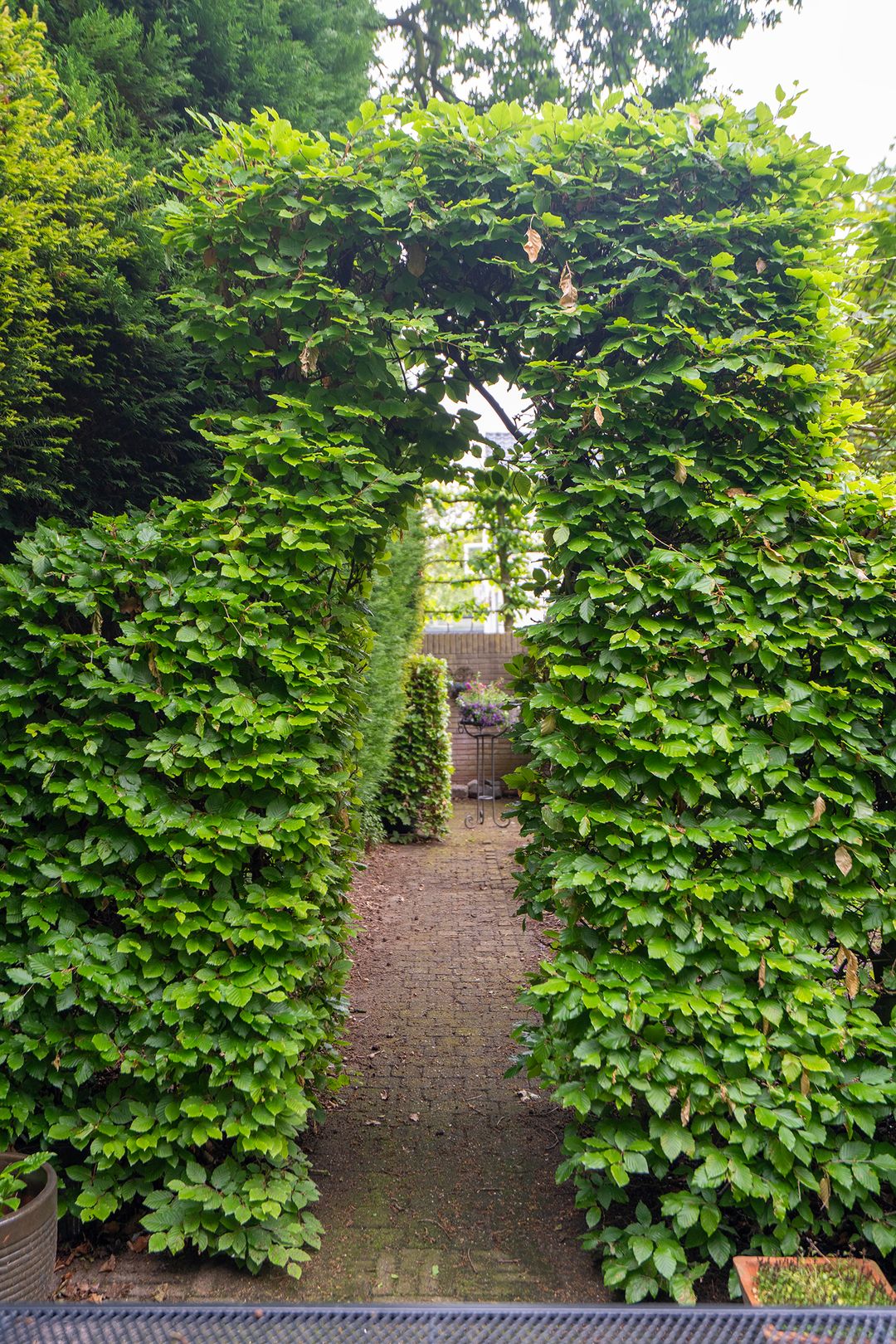 Photo 41 of Goirleseweg 38