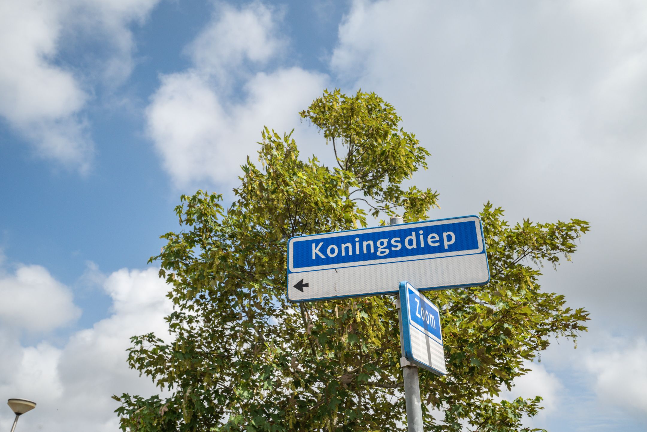 Foto 45 van Koningsdiep 4