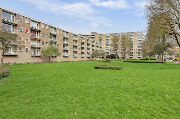 Bijdorp 11
