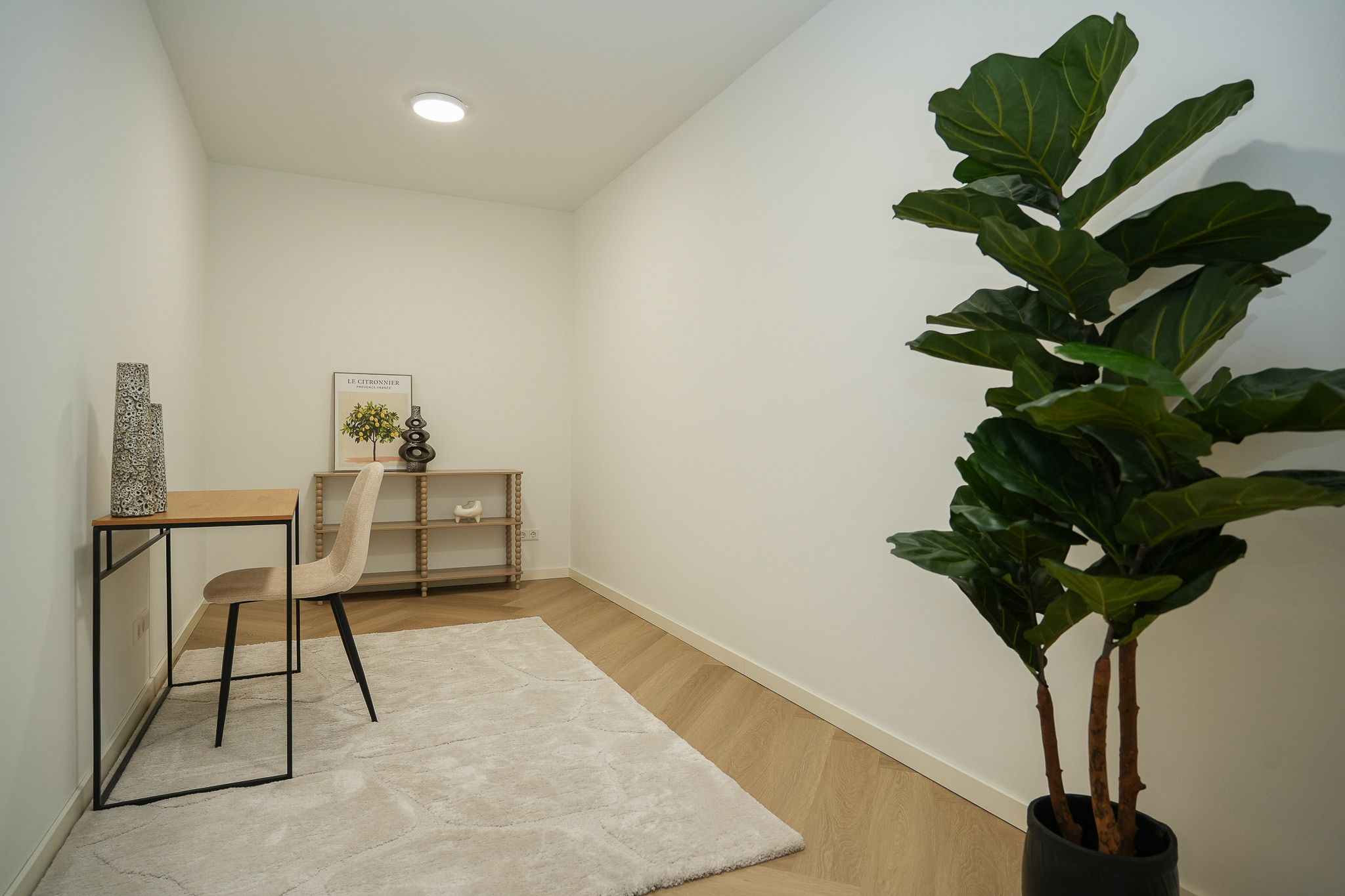 Photo 18 of Tolhuisstraat 9