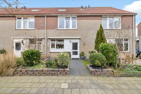 Henriëtte van der Meystraat thumbnail